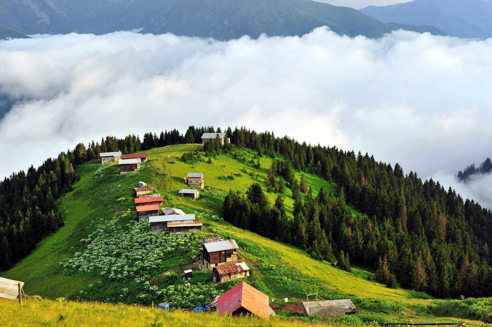 AYDER ZİLKALE